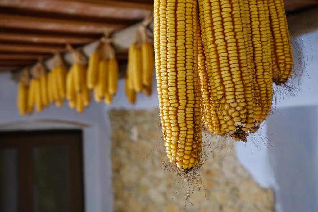 Can Barnosell - Els Masos D'En Coll Llavia Ngoại thất bức ảnh